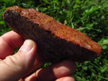 2019-08-13-olesna-22